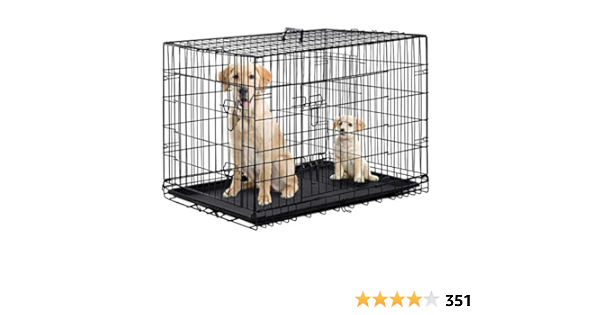 divided dog crate