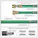 Greenbest 2016 New 50' Expanding Garden Hose, Ultimate Expandable Garden Hose, Solid Brass Connector Fittings, Green