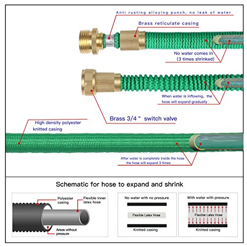 Greenbest 2016 New 50' Expanding Garden Hose, Ultimate