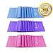 Therapy Flat Resistance Bands Set, Latex Free Flat Elastic Exercise Stretch Bands for Stretching, Flexibility, Pilates, Yoga, Ballet, Gymnastics, Rehab, Workout, Pink, Purple, Blue (3 Pack, 5 FT long)