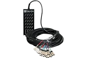 CBI CABLES CBI MCB 24x4 Audio Snake, 100 Feet