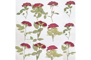 DoraMagic 12Pcs Nauture Pressed Rose, Real Dried Pressed Flowers for Resin Scrapbook Supplies Card Making Soap Candle DIY Art Crafts (Red 2)