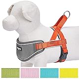 Blueberry Pet 5 Colors Soft & Comfy 3M Reflective Strips Padded Dog Harness Vest, Chest Girth 24.5