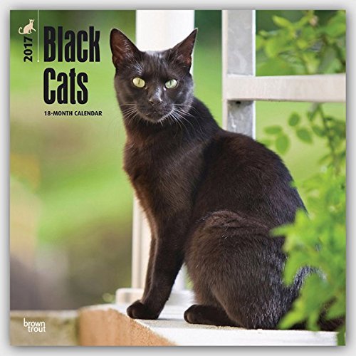 Black Cats - 2017 Calendar 12 x 12in