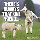 2018 Animal Memes Wall Calendar (Mead)