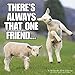 2018 Animal Memes Wall Calendar (Mead)
