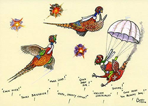 Bryn Parry 10 Notecards with envelopes. Yours Brigadier cartoon pheasants A great shooting or hunting gift. Perfect for Thank you letters, invites etc