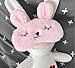 ZHI CHEN Silk Eye Mask with Lovely 3D Cute Rabbit Face Soft & Lightweight Sleeping Blindfold for Kids Girls Adult for Yoga Traveling Party [Inclulding Ice Bag, Foam Ear Plugs] (Pink(Upgraded))