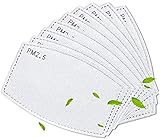 100Pcs Authentic Face Cover Insert Pm 2.5