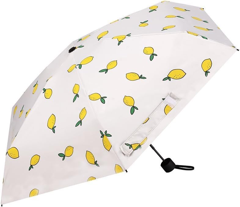 Travel Umbrella Windproof,Auto Open Close Lightweight Compact Folding Umbrella with Teflon Coating 10 Rib Construction for Men Women