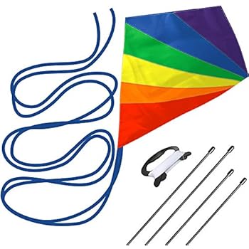 aGreatLife Diamond Kite Easy Flyer for Boy and Girls - Easy to Fly and Soars High, A Great Way to Enjoy and Spend Time with Friends and Family.