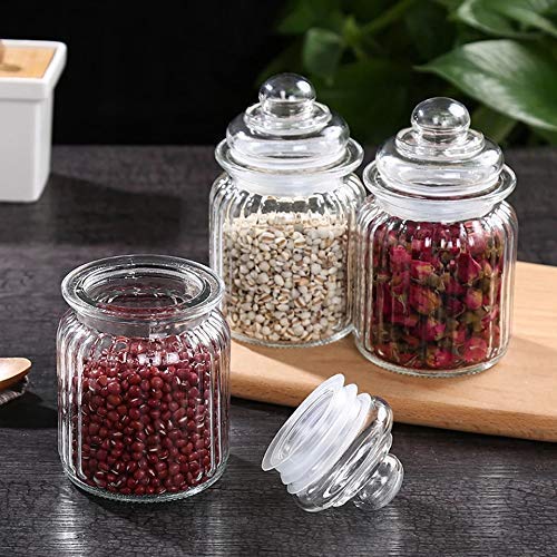 The Ocean Enterprise 350 ml Glass jar with Air Tight Lid for Herbs Jar