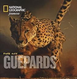 Face aux guépards