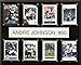 NFL Houston Texans Andre Johnson 8-Card Plaque, 12 x 15-Inch
