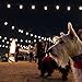 Enbrighten Classic Warm White String Lights, 24ft Black Cord, 12 Shatterproof Acrylic Bulbs, Weatherproof, Outdoor String Lights, 31662