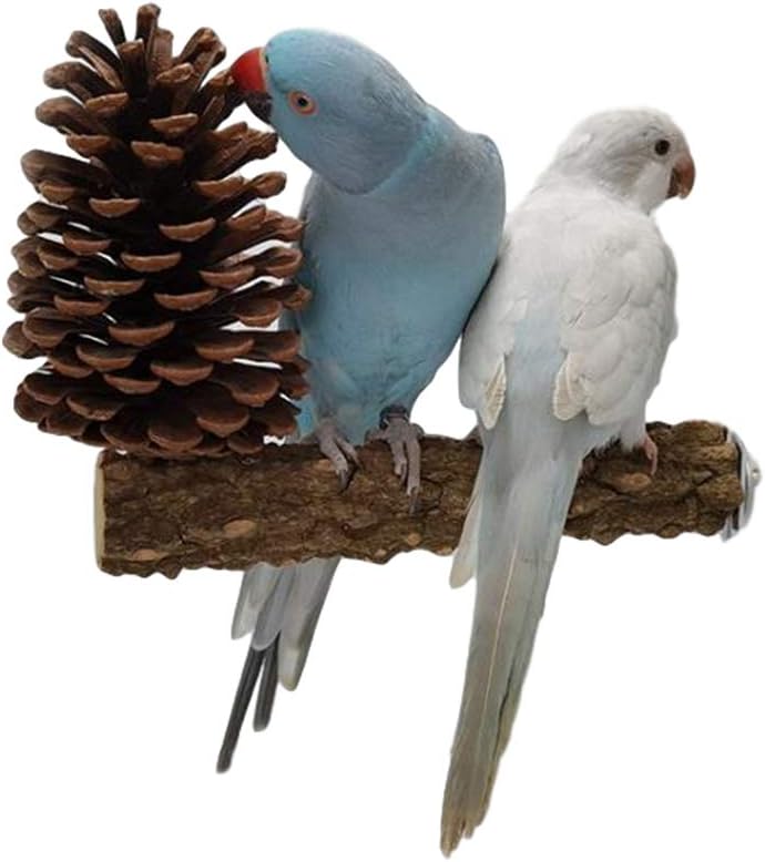 YANGWX 2PCS Natural Wood Bird Parrot Perch Stand Toys, Paw Grinding Stick Parrot Stand Wood Perches and Bird Parrot Chewing(Pine cones), Bird Stand Platform Toys for Small Parakeets, Finches, Budgie