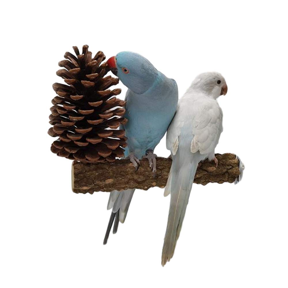 YANGWX 2PCS Natural Wood Bird Parrot Perch Stand Toys, Paw Grinding Stick Parrot Stand Wood Perches and Bird Parrot Chewing(Pine cones), Bird Stand Platform Toys for Small Parakeets, Finches, Budgie