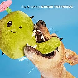 Barkbox 2-in-1 Interactive Plush Puzzle Dog Toys
