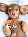 Doggy Dreams 2014 - Weingarten