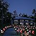 Anordsem Rose Lights Solar Powered for Women: Garden Light Waterproof for Yard Decorations Outdoor - Flower Lamp Colorful Lighting Cemetery Decor - Valentine's Mother's Day Gifts for Mom Wife