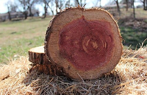 4 Pack Natural Cedar Wood Slices, 7-10”, Round Wood Slabs, Rustic Tree Bark Slice, Wedding Table Centerpiece, Wood Crafts, Locally sourced in Oklahoma