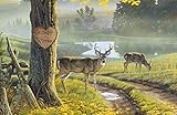 Custom Whitetail Deer Decor Print - Personalized Couples Name Print