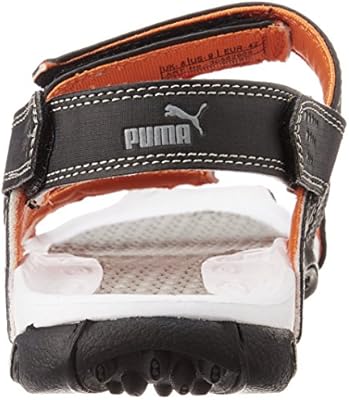 puma aripon 3 dp