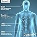 Posture Corrector for Women and Men by Comfort Ahead – Slouching Correction – Neck & Upper Back Pain Relief – Adjustable Straps & Comfortable Design – FDA Approved Orthopedic Back Straightener Brace