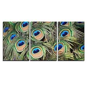 3 Piece Canvas Wall Art - Beautiful Vivid Peacock Feathers - Modern Home Art Stretched and Framed Ready to Hang - 16"x24"x3 Panels