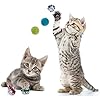 21-Pcs-Cat-Toys-for-Indoor-Cats-Collapsible-Cat-Tunnel-Interactive-Feather-Teaser-Wand-Ball-Toy-for-Kitten-Cats 21 Pcs Cat Toys for Indoor Cats Collapsible Cat Tunnel Interactive Feather Teaser Wand Ball Toy for Kitten Cats