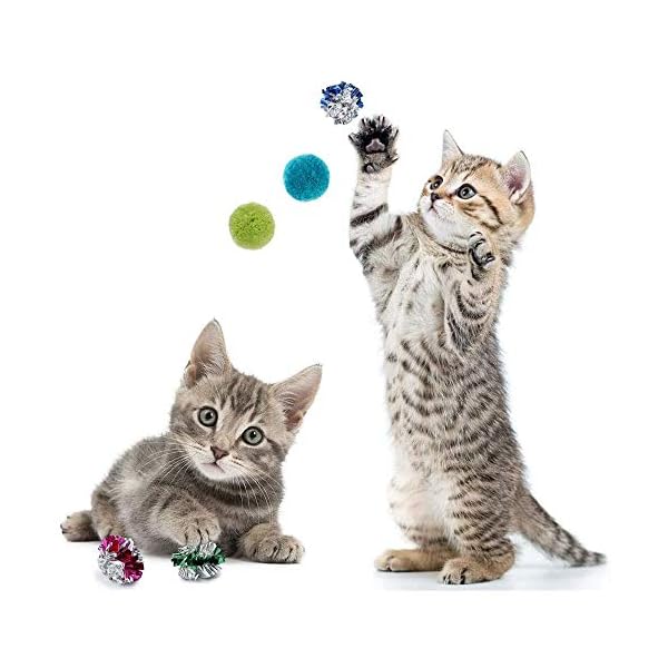 21-Pcs-Cat-Toys-for-Indoor-Cats-Collapsible-Cat-Tunnel-Interactive-Feather-Teaser-Wand-Ball-Toy-for-Kitten-Cats 21 Pcs Cat Toys for Indoor Cats Collapsible Cat Tunnel Interactive Feather Teaser Wand Ball Toy for Kitten Cats