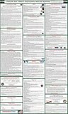 2017 (SPANISH) Colorado State and Federal Labor Law Poster - Laminated 24