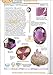 8mm round natural amethyst gemstone beads strand 15