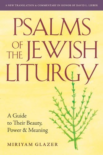Psalms of the Jewish Liturgy: A Guide to Their Beauty, Power, and Meaning
