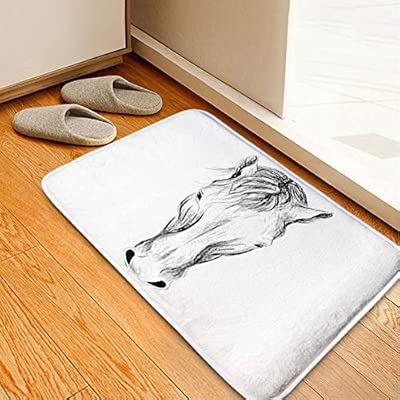Amazon Com Living Room Carpets Bathroom Wc Home Decor Rug