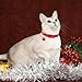 KOOLTAIL Christmas Breakaway Cat Collar with Bell - 4 Pack Safety for Cat&Dog Kitten Collars Red and Green