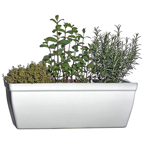 Hentschke Keramik Balkonkasten Fensterkasten frostsicher 48 x 19 x H 17 cm, weiß, 259.048.04 - Made in Germany