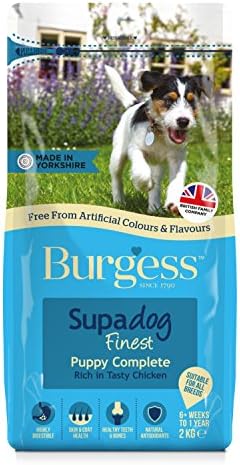 images of cute golden retriever puppies