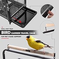 18 inch bird perch