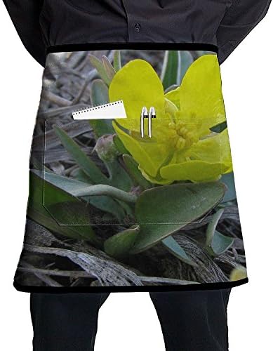 Adult Adjustable Apron With Pockets The Lowest Leaves Of Sage Buttercup Modern Full Print Fashion Design-suitable For Barista Apron,cooking Apron,grilling Apron And Kitchen
