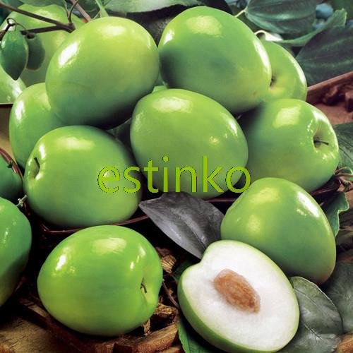 Hot Selling 50pcs/lot Taiwan Big Jujube Seeds Honey Sweet Dates Seeds Fruit Tree Bonsai Plant DIY Home Garden Hot Selling 50pcs/lot Taiwan Big Jujube Seeds Honey Sweet Dates Seeds Fruit Tree Bonsai Plant DIY Home Garden