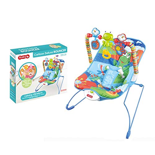 baby deluxe bouncer