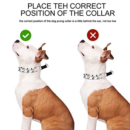 adjustable prong collar