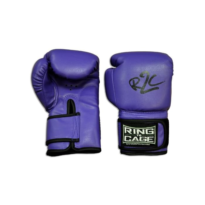 Buy Ring to Cage Kids Boxing Gloves for Muay Thai, MMA, Kickboxing