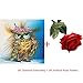 Alonea 5D Diamond Cat Embroidery Painting Animal Rhinestone Cross Stitch Decor DIY (1PC Diamond Embroidery+1PC Artificial Roses Flowers)