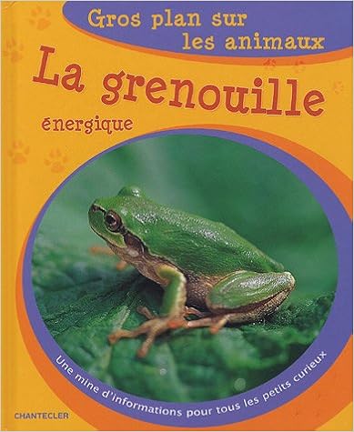 La grenouille énergique, by Yi-Wen Chang Kai-Xin Yan La grenouille énergique, by Yi-Wen Chang Kai-Xin Yan