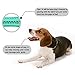 Dog Toy Rope Toys,Jakpak Non-toxic Rubber made Pets Dogs Chew Toy Teeth Cleaning Rope Toy for Dog Training Exercise and Reward, Dog Toy Launcher Knotted Rope Tug Toy for Small Medium Large Dog Mint