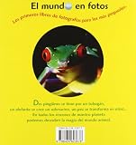 Image de Animaladas!/ Silly Animals! (Spanish Edition)