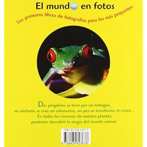 Animaladas!/ Silly Animals! (Spanish Edition)