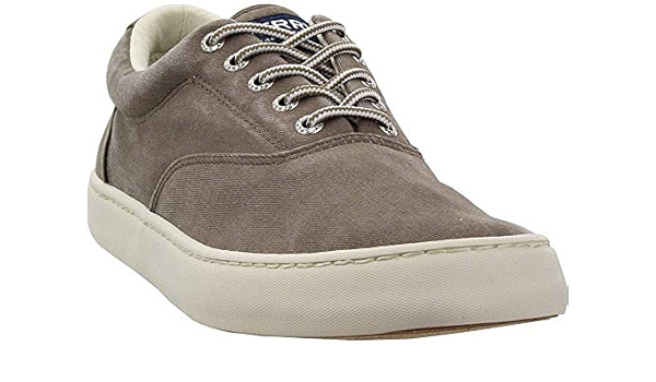sperry cutter sneaker